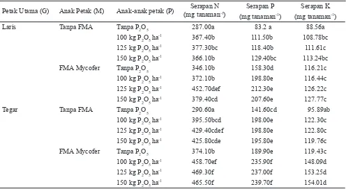 Tabel 3.  Serapan N, P dan K benih pada interaksi genotipe, FMA  dan pemupukan P