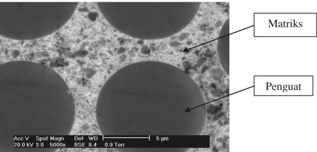 Gambar 2.4 Mikrostruktur Material Komposit [5]