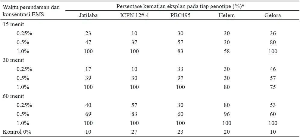 Gambar 1. Penampakan eksplan genotipe cabai ‘Gelora‘ pada perlakuan berbagai  konsentrasi EMS dengan waktu perendaman 60 menit; A) EMS 0.25%; B) EMS 0.5%; C) EMS 1%