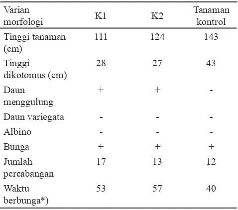 Tabel 4. Karakter buah yang dihasilkan oleh tanaman somaklonal hasil induksi mutasi dengan EMS 0.5% dan waktu perendaman 60 menit