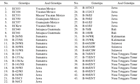 Tabel 1.  Genotipa-genotipa yang digunakan 
