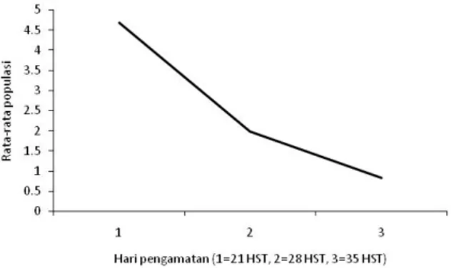 Gambar 2. Rata-rata populasi kutu kebul yang terdapat pada   semua genotipe pada umur 21, 28, dan 35 HST