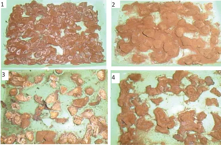 Gambar 1. Fermentasi substrat kulit pisang (a) kulit kentang (b) singkong (c)