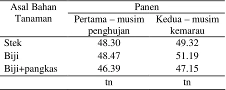 Tabel 7.  Pengaruh asal bahan tanaman terhadap bobot biji jarak pagar 