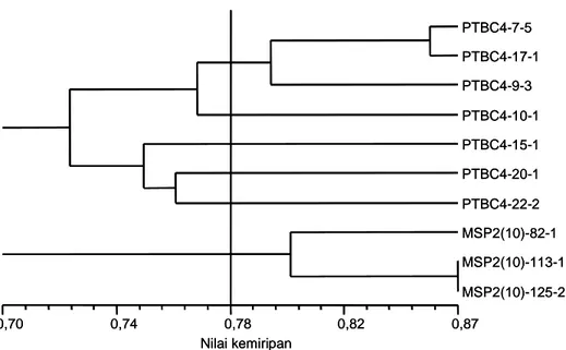 Gambar 4. Dendrogram 10 galur jagung pulut (waxy corn) hasil analisis klaster berdasarkan pola pita DNA dengan metode UPGMA menggunakan 20 praimer SSRs
