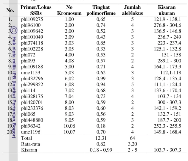 Tabel 7 Profil data marka mikrosatelit hasil karakterisasi pada galur jagung pulut menggunakan 20 marka SSRs No