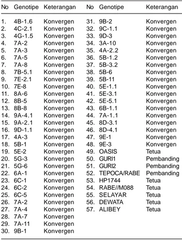 Tabel 1. Genotipe gandum hasil persilangan konvergen enam tetua generasi keempat, tetua, dan varietas yang telah dilepas.