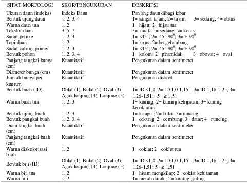 Tabel 2.  Sifat-sifat morfologi tanaman pala dan kategori pengukurannya 