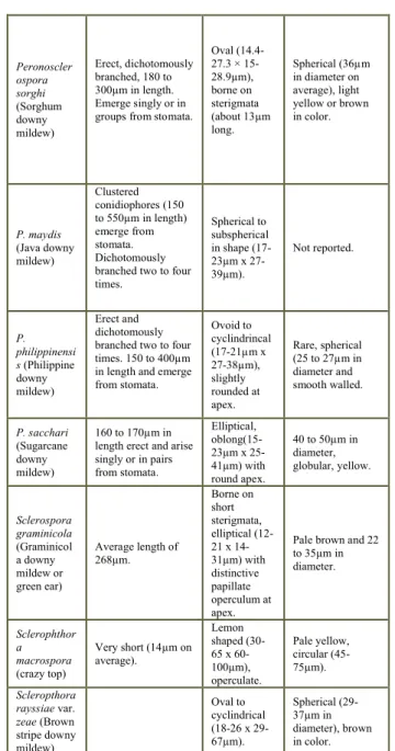 Table 1. Karakteristik morfologi berbagai spesies patogen penyebab bulai  pada tanaman jagung