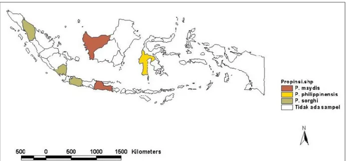 Gambar  2. Peta penyebaran spesies patogen penyebab penyakit bulai di beberapa lokasi di Indonesia
