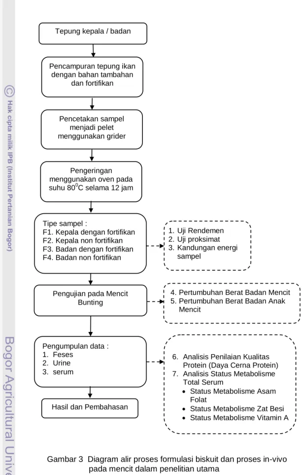 Gambar 3  Diagram alir proses formulasi biskuit dan proses in-vivo  pada mencit dalam penelitian utama 