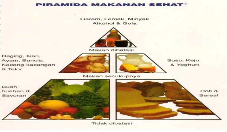 Gambar 1. Piramida makanan sehat 
