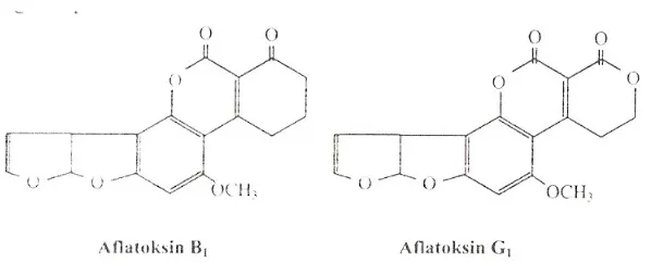 Gambar 10.4. Aflatoksin
