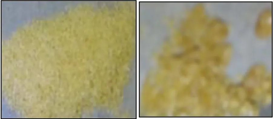 Gambar 1. Kristal piperin hasil ekstraksi (a) sokletasi dan   (b) maserasi buah cabe jawa (Piper retrofractum fructus)