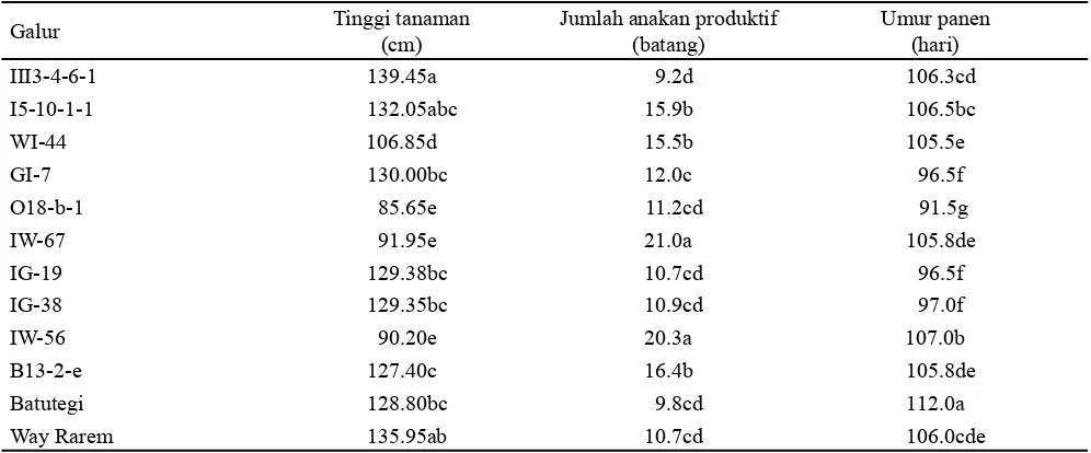 Tabel 3. Panjang malai, persentase gabah isi dan jumlah gabah total per malai galur dihaploid padi gogo hasil tanam di lapangan