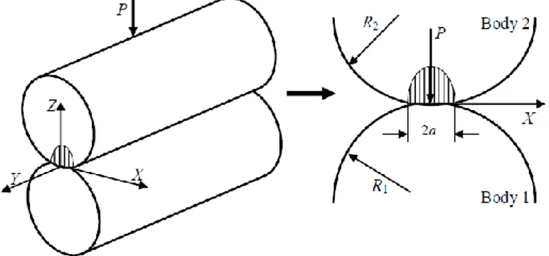 Gambar 2.4  Mekanisme kontak dua bidang permukaan silinder   Sumber : contack mechanic (jonshon) 2005 