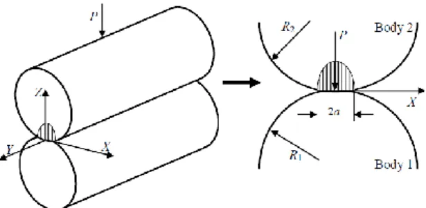 Gambar 2.2  Mekanisme kontak dua bidang permukaan silinder   Sumber : contack mechanic (jonshon) 2005 