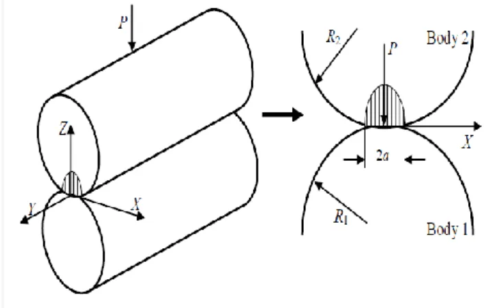 Gambar 2.5  Mekanisme kontak dua bidang permukaan silinder   Sumber : contack mechanic (jonshon) 2005 