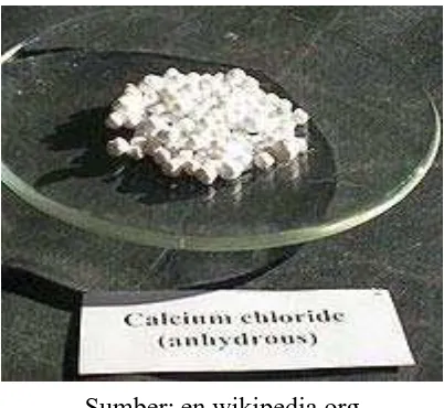 Gambar 3. Kalsium klorida .wikipedia.org 