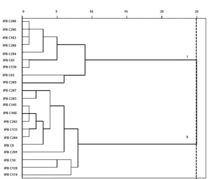 Gambar 2. Pengelompokan 21 genotipe cabai rawit berdasarkan KU I dan KU II 
