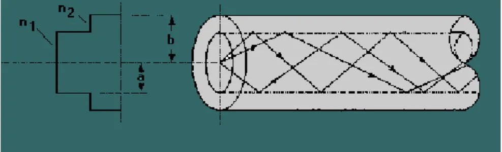 Gambar 2.2. Jenis Serat Optik Multi Mode Step Index (MMSI) 