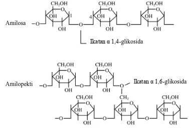 Gambar 1. Struktur molekul amilosa dan amilopektin (Eliasson, 2004) 