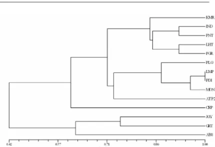 Tabel 2.  Matrik kemiripan (similarity) dari 14 aksesi jarak pagar berdasarkan penanda morfologi 