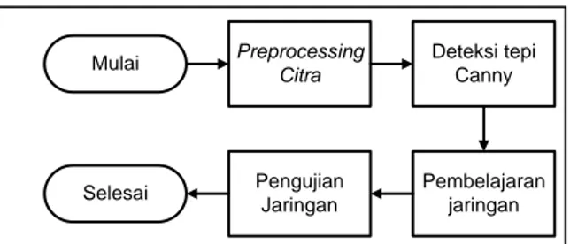 Gambar 5. (a) Citra RGB, (b) citra 