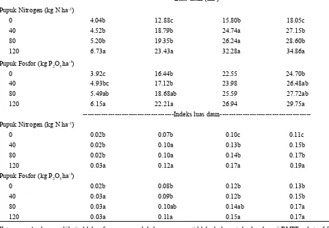 Tabel 4. Luas daun dan indeks luas daun jintan hitam  umur 4-10 MST pada perlakuan N dan P berbeda