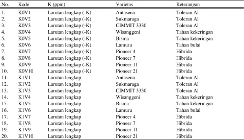 Tabel 1.  Kombinasi Perlakuan K dan Beberapa Varietas Jagung. 