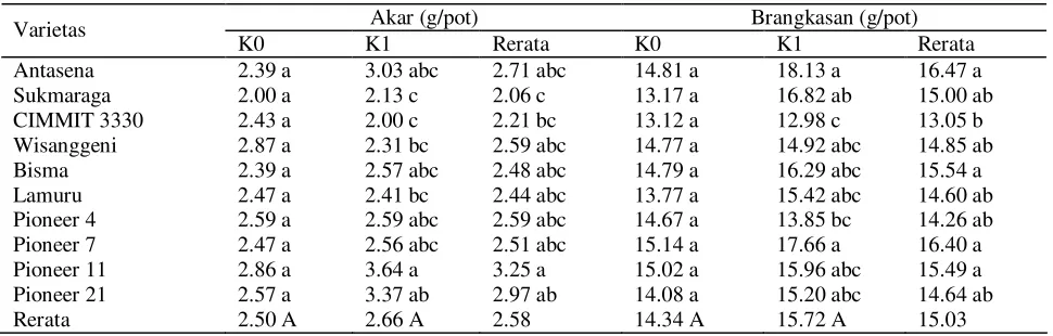 Tabel 2.  Pengaruh pemberian K dan varietas terhadap serapan hara N, P, dan K tanaman jagung