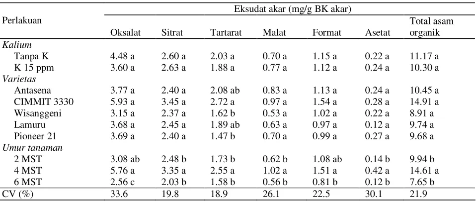 Tabel 4.  Pengaruh pemberian K, varietas dan  umur pertumbuhan terhadap eksudat asam organik dari akar jagung