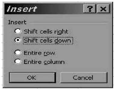 Gambar 7. Kotak Dialog insert 