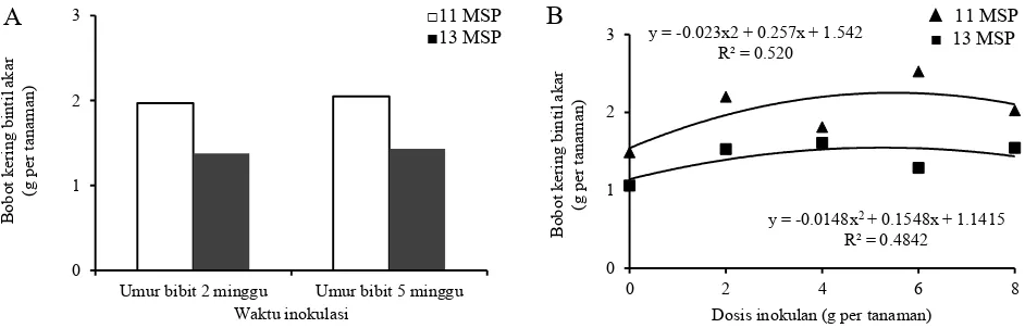 Gambar 2. Pengaruh dosis inokulan terhadap (A) bobot kering tajuk dan (B) kadar  nitrogen daun pada umur 11 dan 13 MSP 
