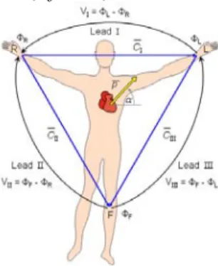 Gambar 1.  Gelombang EKG normal 