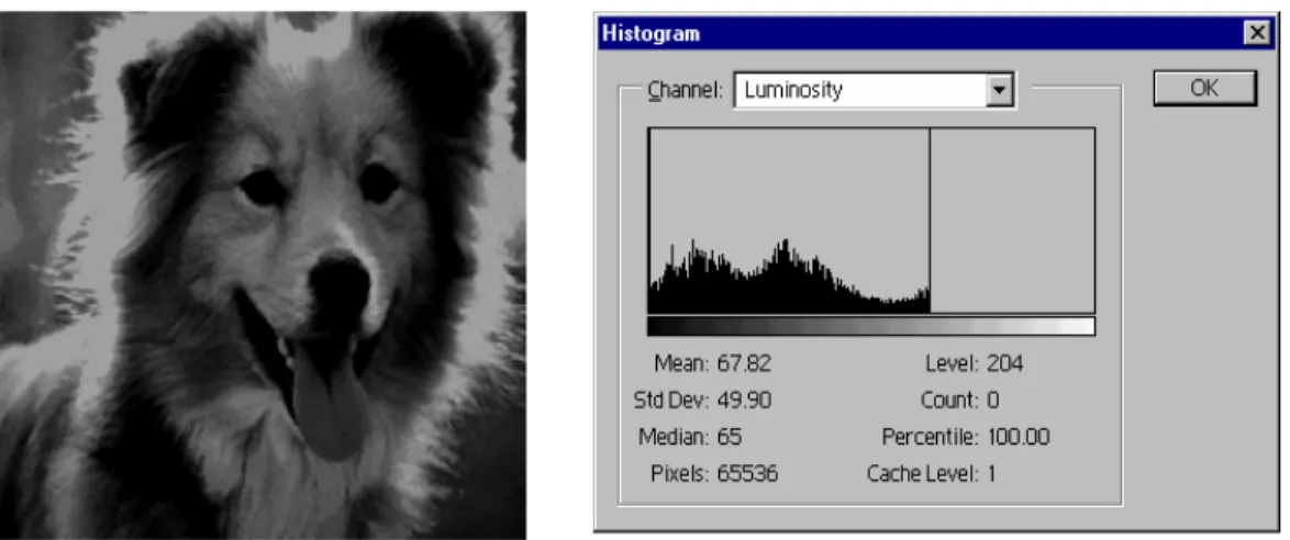 Gambar 7.6.  Contoh perataan histogram pada citra anjing collie 