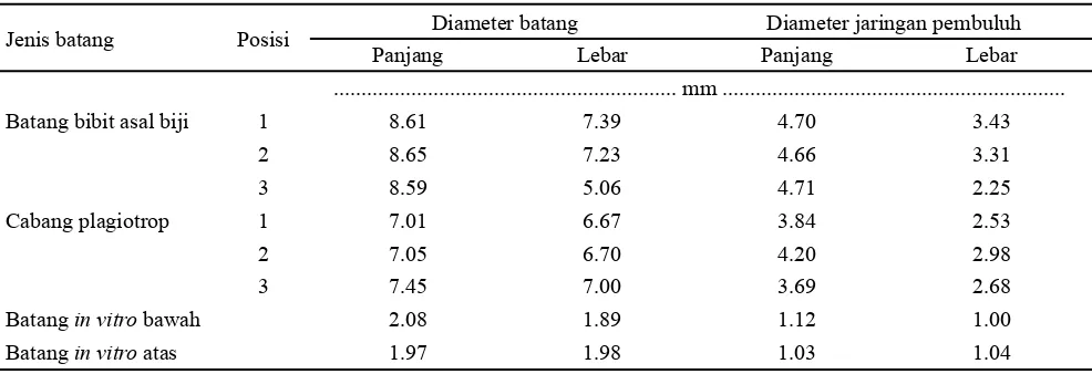 Tabel 2. Rataan ukuran diameter (panjang dan lebar) batang dan jaringan pembuluh batang