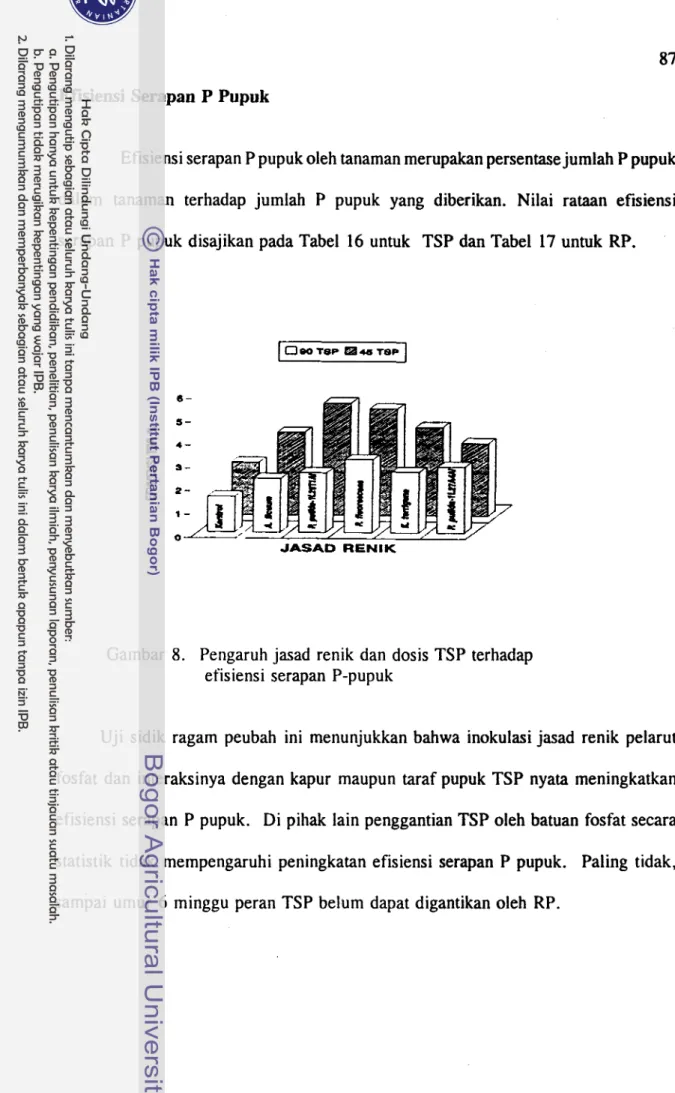 Gambar  8.  Pengaruh jasad  renik  dan dosis TSP terhadap  efisiensi  serapan  P-pupuk 
