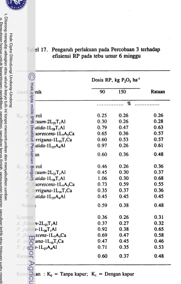 Tabel  17.  Pengaruh perlakuan pada  Percobaan  3  terhadap  efisiensi  RP  pada  tebu umur  6  minggu 