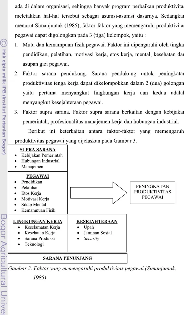 Gambar 3. Faktor yang memengaruhi produktivitas pegawai (Simanjuntak,        1985)  SUPRA SARANA  •  Kebijakan Pemerintah •  Hubungan Industrial •  Manajemen PEGAWAI •  Pendidikan •  Pelatihan •  Etos Kerja •  Motivasi Kerja •  Sikap Mental •  Kemampuan Fi