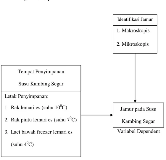 Gambar 2.6 Kerangka Konsep 