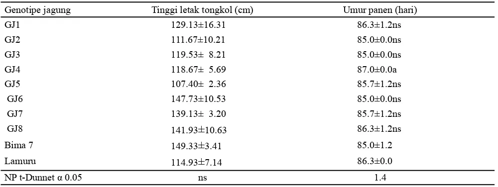 Tabel 3. Tinggi letak tongkol (cm) dan umur panen (Hari) dari berbagai genotipe jagung calon hibrida umur genjah