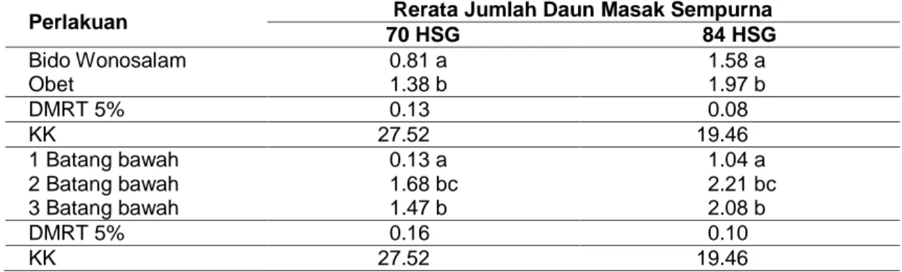 Tabel  6    Rerata  Jumlah  Daun  Masak  Sempurna  Pada  Perlakuan  Jumlah  Batang  Bawah  dan  Jenis Batang Atas Durian 