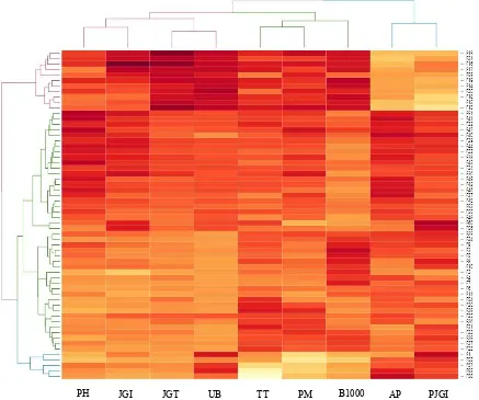 Gambar 1. Analisis clustergram dengan konsep heatmap terhadap 60 genotipe dan 9 karakter pada percobaan karakterisasi di kebun percobaan Sawah Baru IPB bulan Oktober 2016 hingga Januari 2017