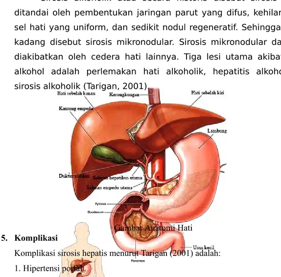 Gambar Anatomi Hati 5. Komplikasi
