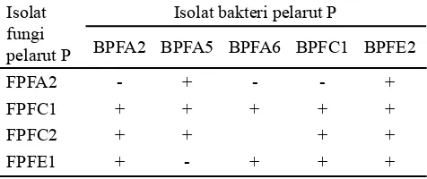 Tabel 3. Uji antagonistik antara bakteri pelarut P dan fungi pelarut P