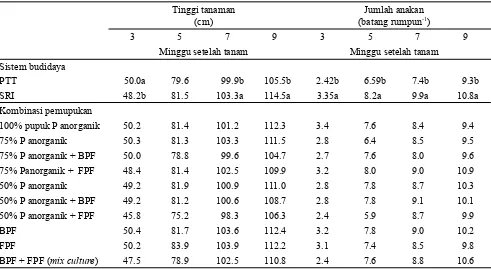 Gambar 1.  Pengaruh interaksi antara sistem budidaya dan kombinasi pemupukan terhadap jumlah anakan produktif pada tanaman padi; PTT = Pengelolaan tanaman terpadu; SRI = System of rice intensification