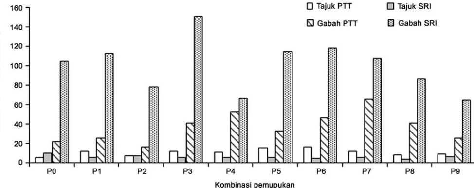 Gambar 3. Analisis serapan hara P tajuk dan gabah pada perlakuan sistem budidaya dan kombinasi pemupukan; P0 kontrol (100% pupuk P anorganik); P1 = 75% pupuk P anorganik; P2 = 75% pupuk P anorganik + bakteri pelarut P; P3 = 75% pupuk P anorganik + fungi pelarut P; P4 = 50% pupuk P anorganik; P5 = 50% pupuk P anorganik + bakteri pelarut P; P6 = 50% pupuk P anorganik +  fungi pelarut P; P7 = bakteri pelarut P; P8 = fungi pelarut P; P9 = bakteri + fungi pelarut P (mix culture); PTT = Pengelolaan tanaman terpadu; SRI = System of rice intensification