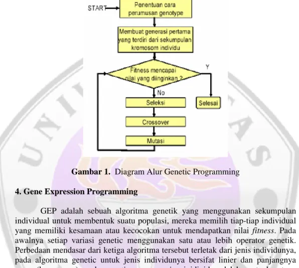 Gambar 1. Diagram Alur Genetic Programming 4. Gene Expression Programming