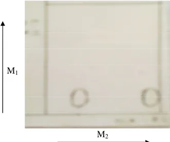 Gambar  14.  Profil  kromatografi  lapis  tipis  dua  dimensi  hasil  pemisahan  kolom  ketiga  dari  penggabungan  fraksi  menggunakan  adsorben  silica  gel  GF 254 